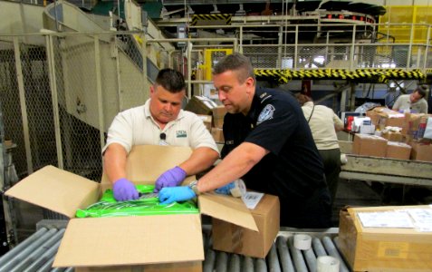 A U.S. Customs and Border Protection agriculture specialist, with assistance from SITC, inspecting a parcel