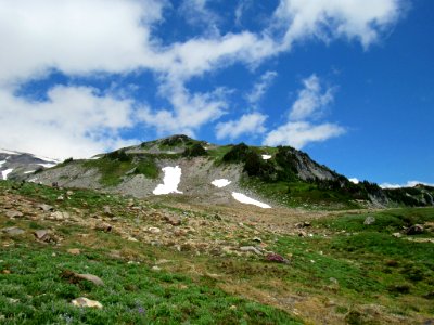 Paradise Skyline Trail at Mt. Rainier NP in WA photo