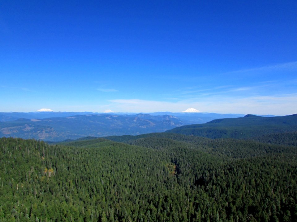 View from Larch Mountain at Columbia River Gorge in OR