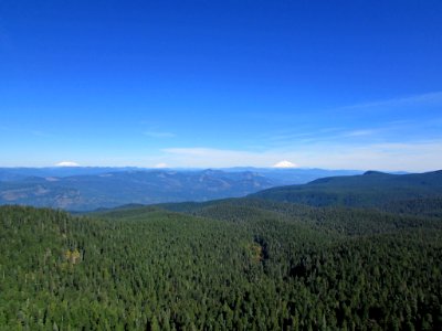 View from Larch Mountain at Columbia River Gorge in OR