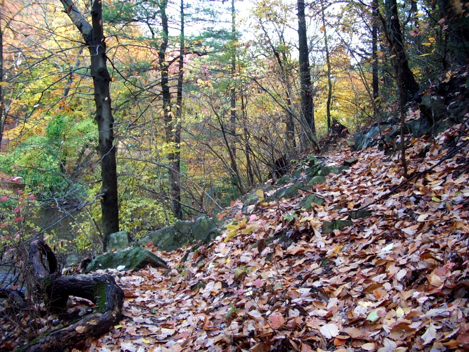 Steep slopes over Rock Creek
