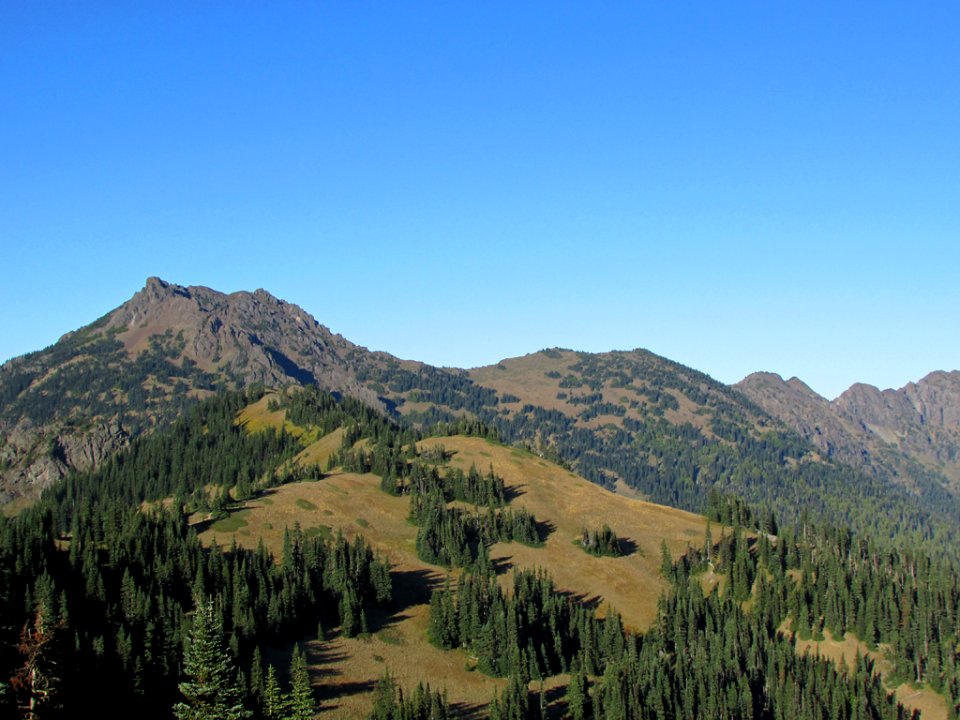 Hurricane Ridge at Olympic NP in WA