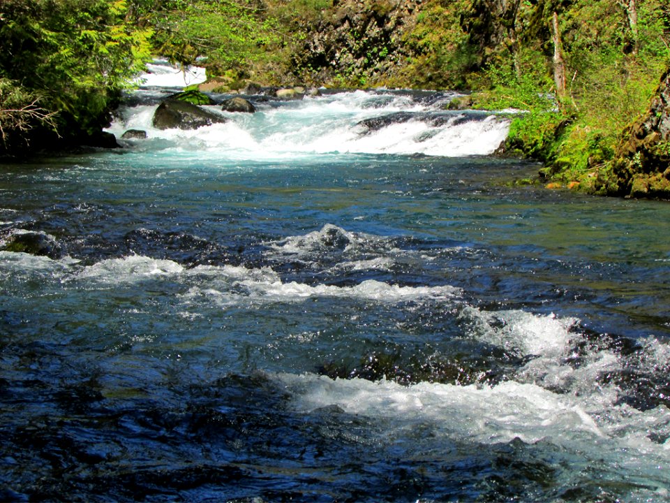 Spirit Falls Trail on Little White Salmon River in WA