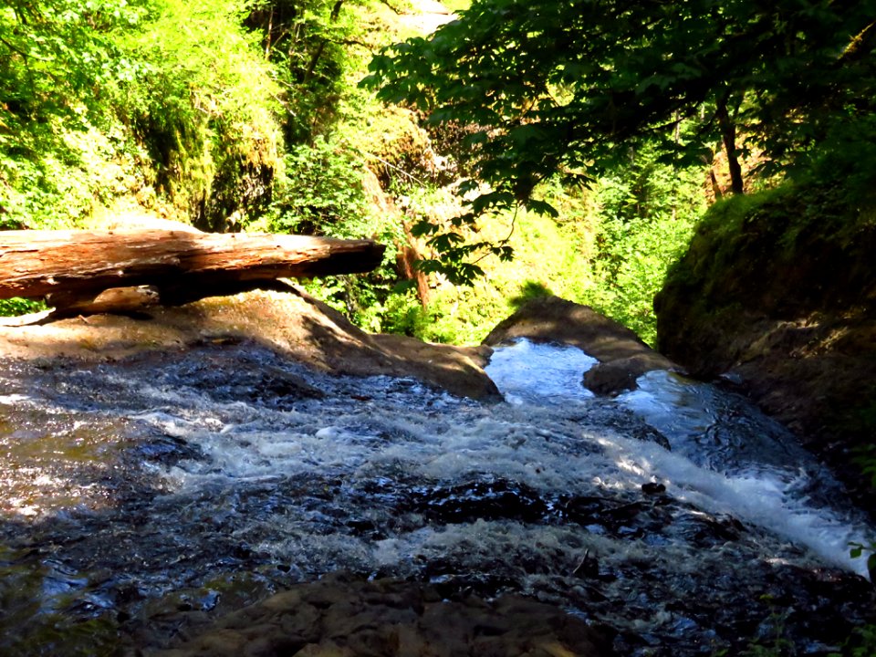 Oneonta Creek at Columbia River Gorge in Oregon