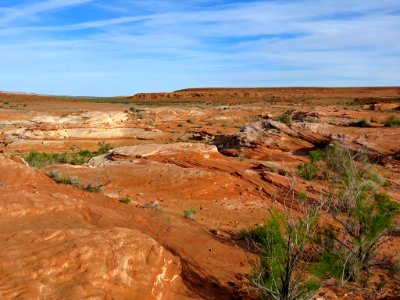 Lake Powell Reservoir Area in AZ