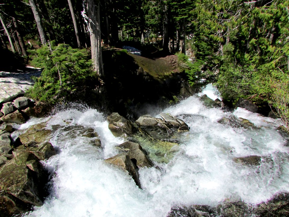 Mt. Rainier NP in WA