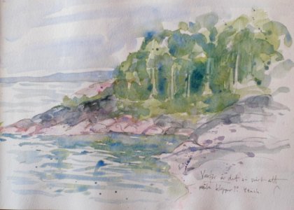 View from Timmervik