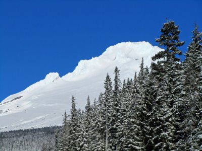 Mt. Hood in OR