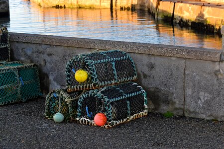 Net water basket