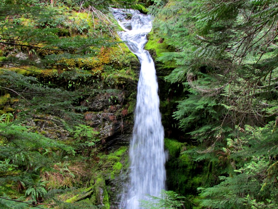Gifford Pinchot NF in WA