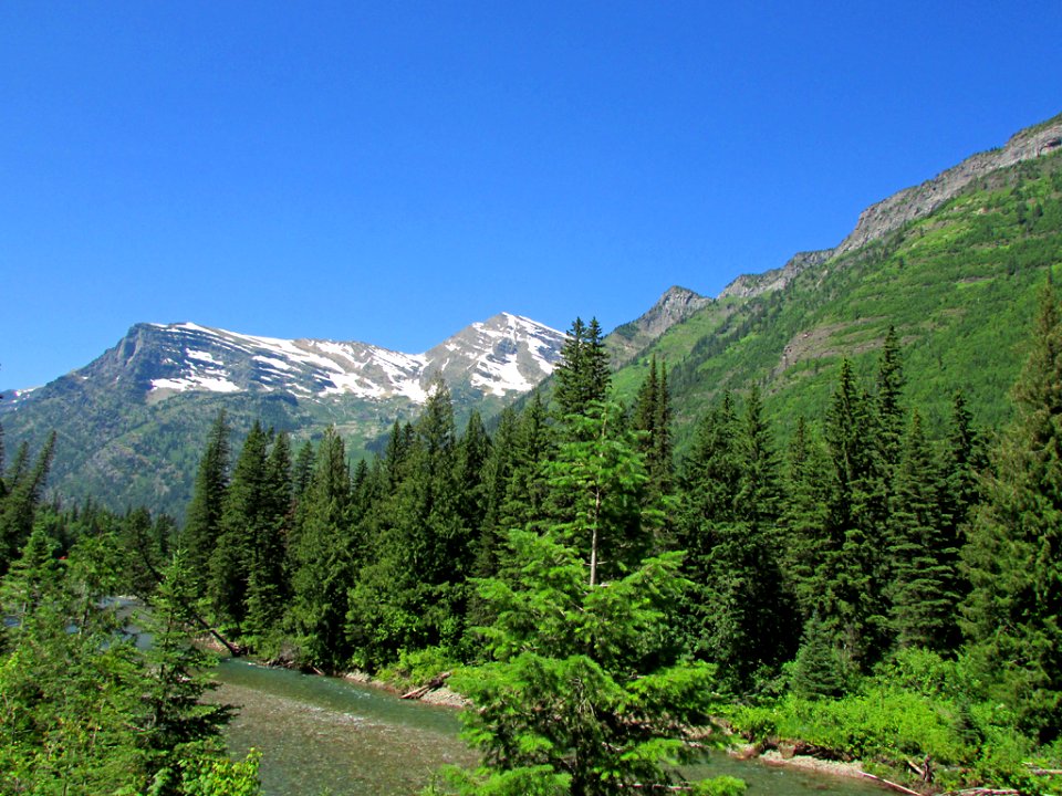 Flathead River at Glacier NP in MT
