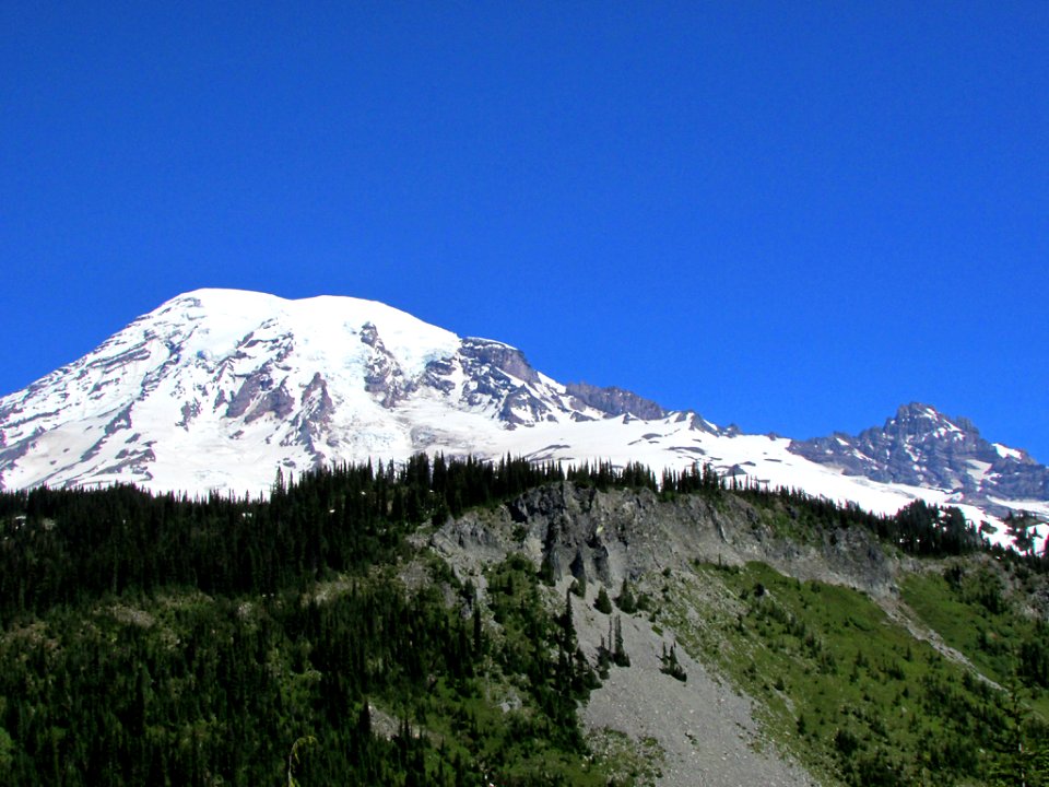Mt. Rainier NP in WA