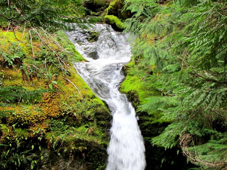 Gifford Pinchot National Forest in Washington