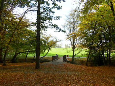 Bridge leading into woods, Grovelands Park