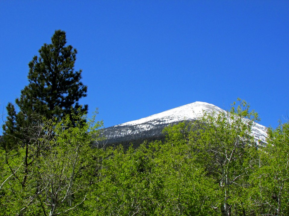 Great Basin NP in NV