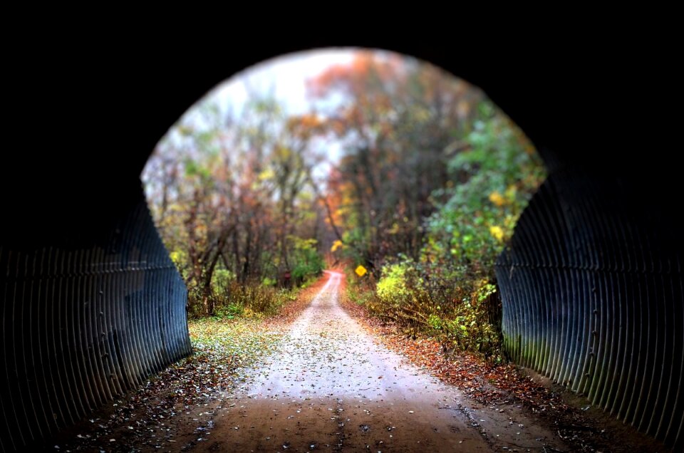 Trail woods fall