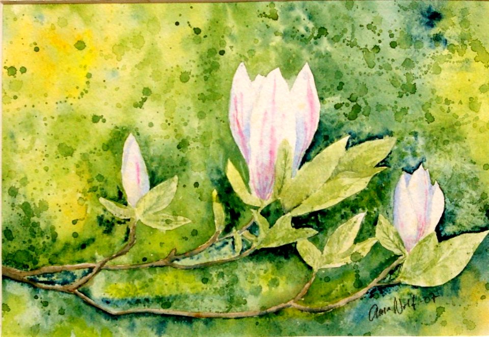 Magnolia I