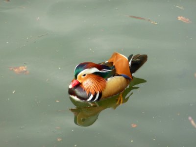 P1020864