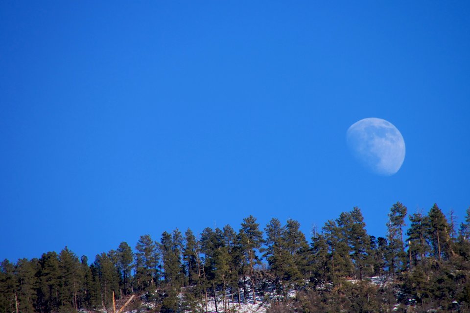 Moon Over Mogollon Rim