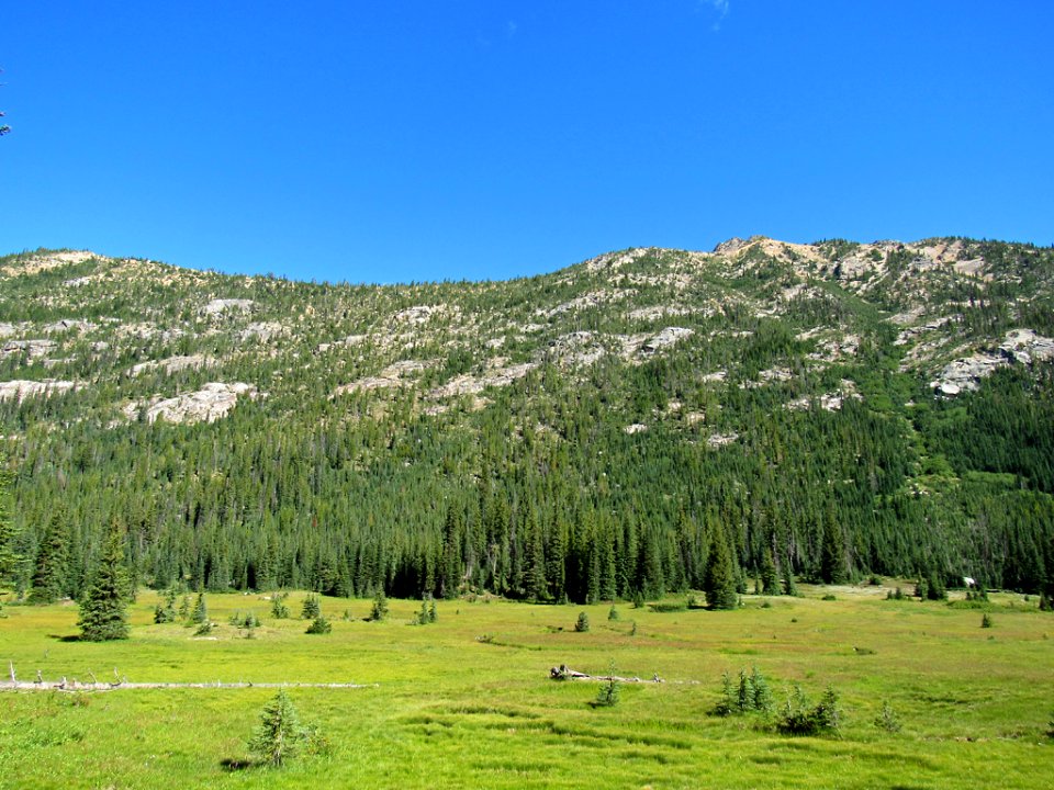 Meadow at North Cascades NP in WA