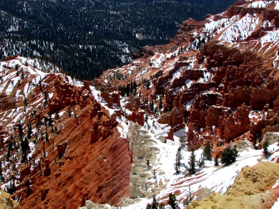 Dixie National Forest in Utah