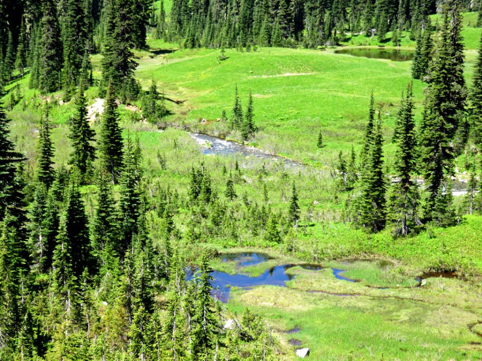 Mt. Rainier NP in Washington