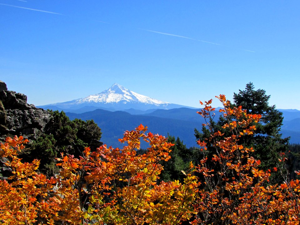 View from Larch Mountain at Columbia River Gorge in OR