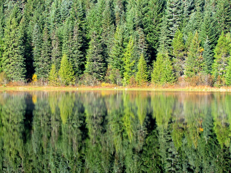 Trillium Lake at Mt. Hood in OR