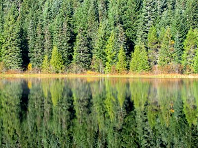 Trillium Lake at Mt. Hood in OR photo