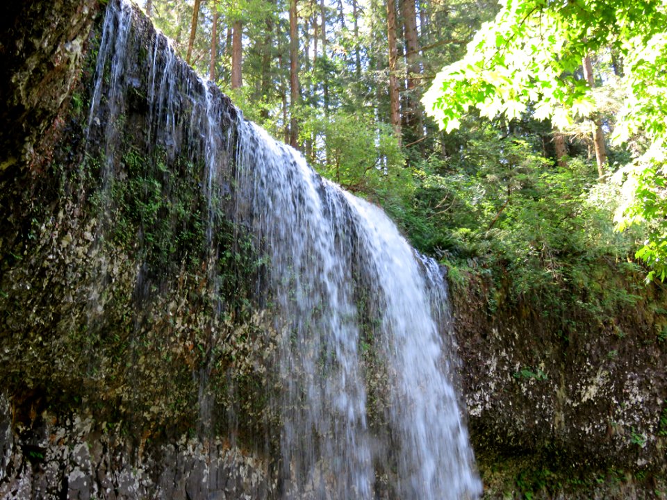 Silver Falls SP in OR