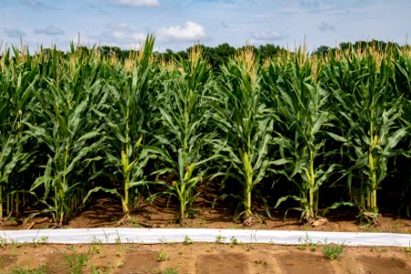 20190625-NRCS-LSC-0459