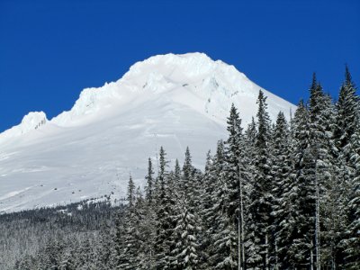 Mt. Hood in OR photo
