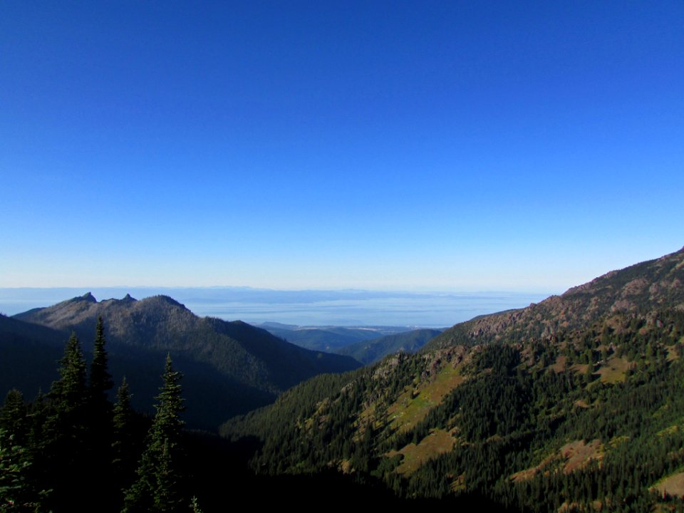 Hurricane Ridge at Olympic NP in WA