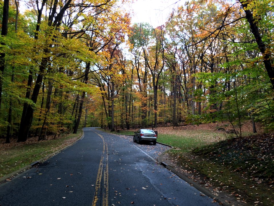 Autumn in Rock Creek Park