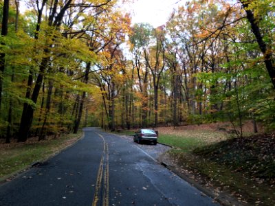 Autumn in Rock Creek Park