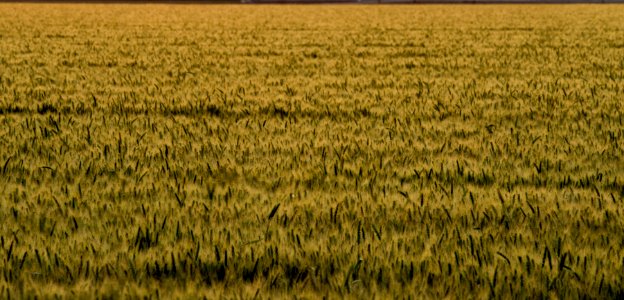 20150415-NRCS-LSC-1013
