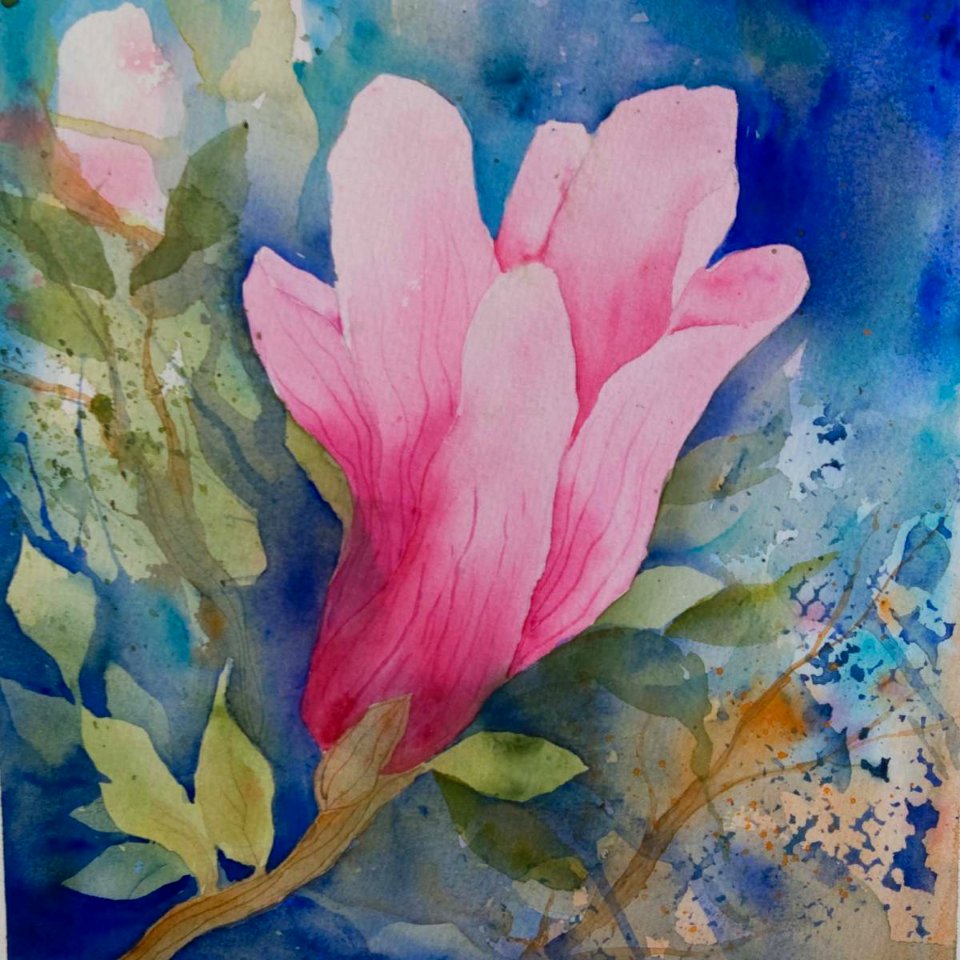 Magnolia and blue