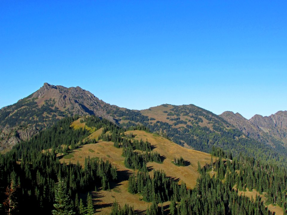 Hurricane Ridge at Olympic NP in Washington