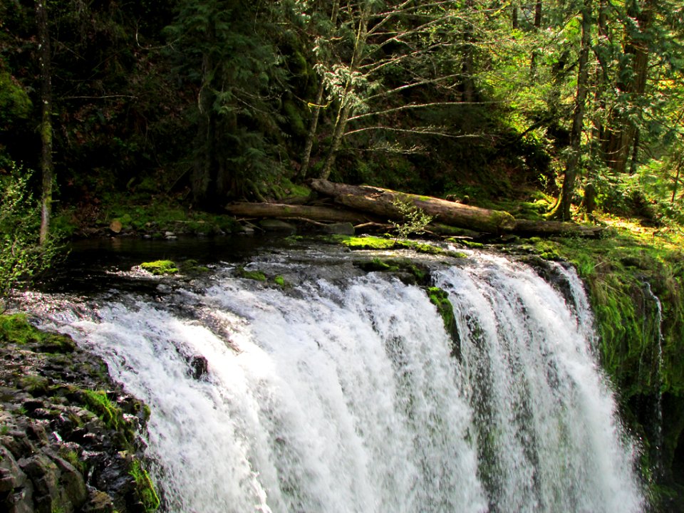 Spirit Falls Trail on Little White Salmon River in WA