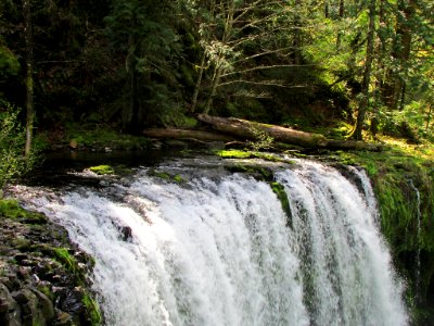 Spirit Falls Trail on Little White Salmon River in WA
