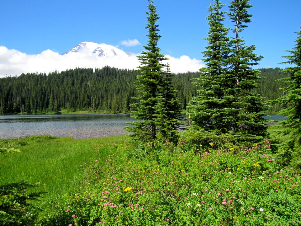 Reflection Lakes at Mt. Rainier NP in WA