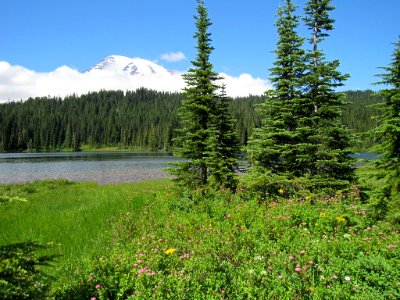 Reflection Lakes at Mt. Rainier NP in WA photo