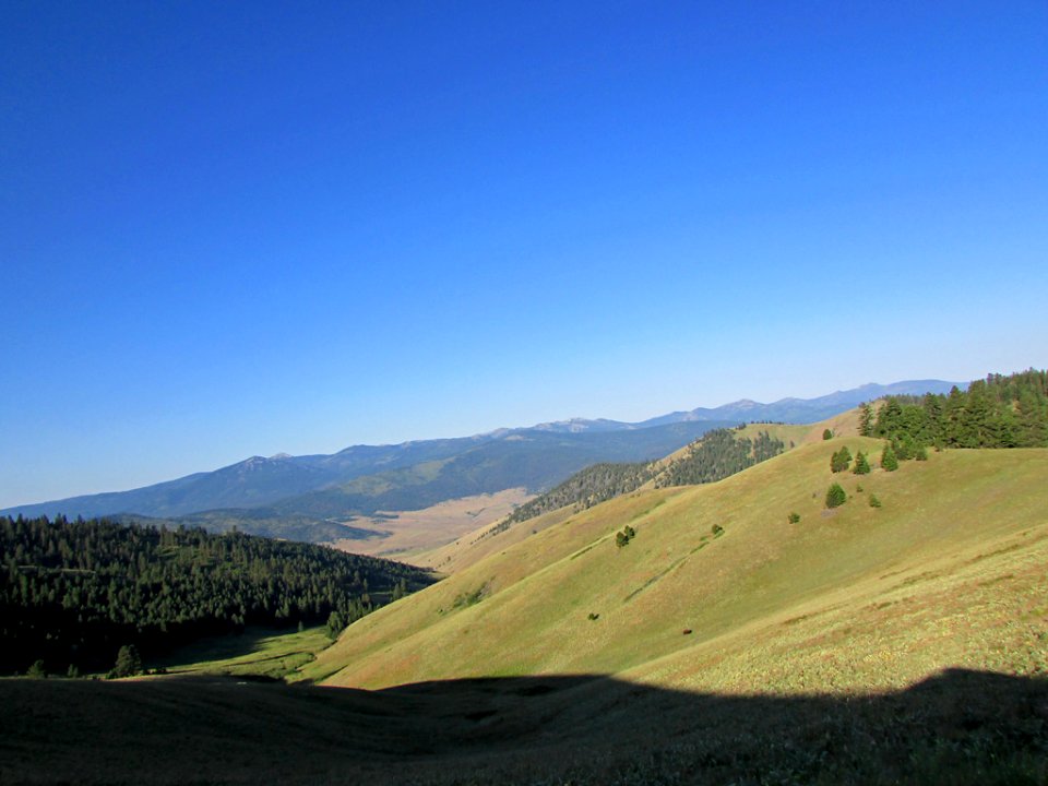 National Bison Range in MT