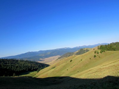 National Bison Range in MT