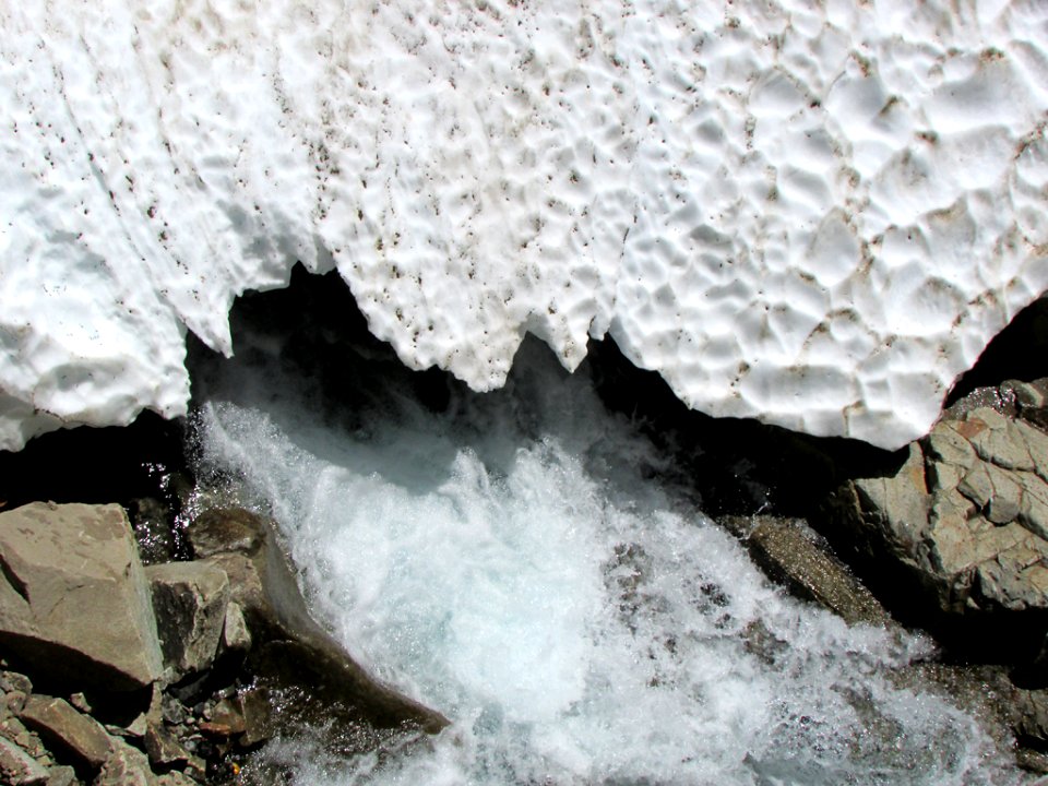 Mt. Rainier NP in WA
