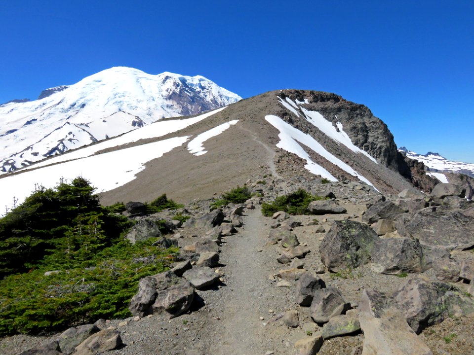 Mt. Rainier NP in Washington