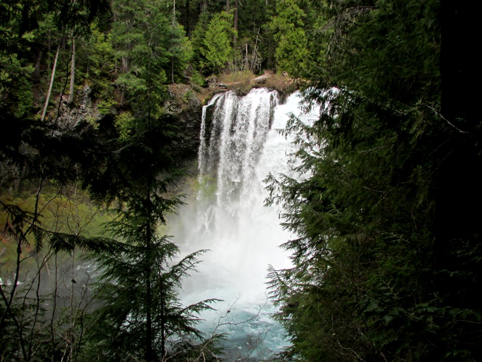 Koosah Falls at McKenzie River in Central OR