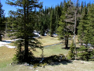 Dixie NF in UT