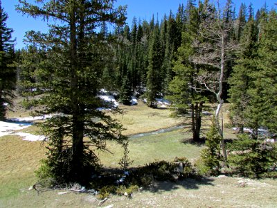 Dixie NF in UT photo