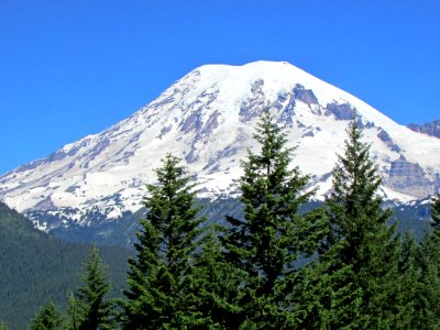 Mt. Rainier NP in WA photo
